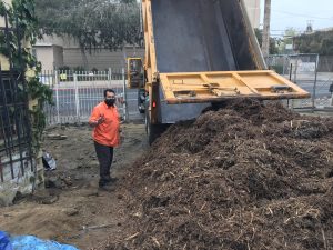 Dump truck arrives with wood chips