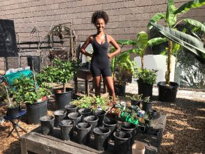 Deija Transplanting Seedlings